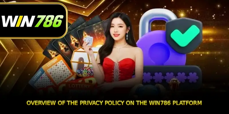 Overview of the Privacy Policy on the Win786 platform