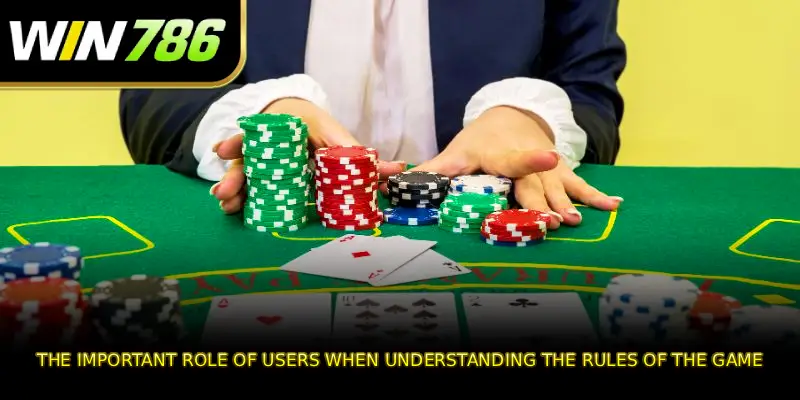The important role of users when understanding the rules of the game