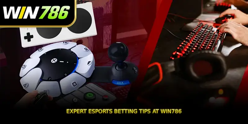 Expert esports betting tips at WIN786