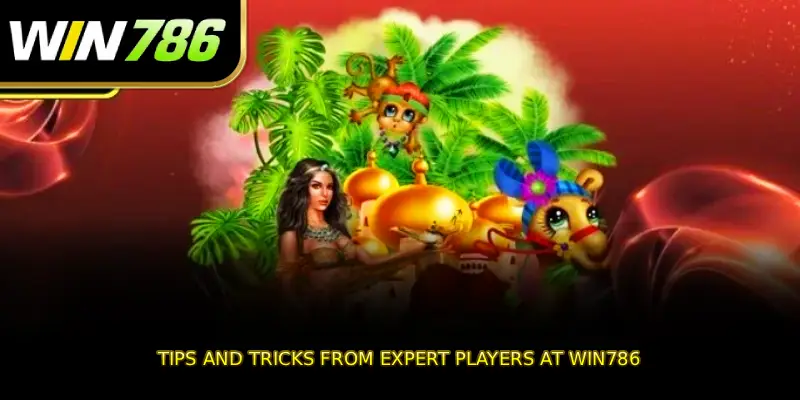 Tips and tricks from expert players at WIN786